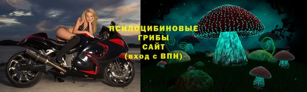 винт Алексин