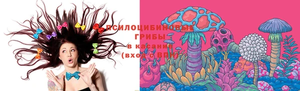 винт Алексин
