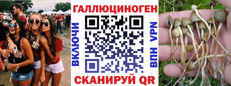 что такое наркотик  Тейково  Галлюциногенные грибы Psilocybine cubensis 